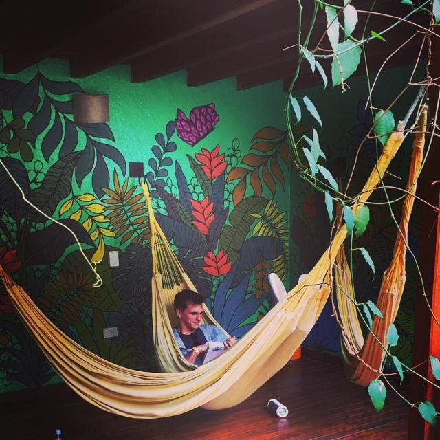 Casa Kiwi Hostel Medellín Exteriör bild